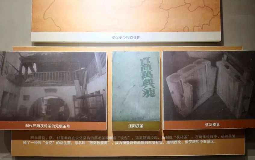 茶有金花还能喝吗,茶里的金花是怎么回事