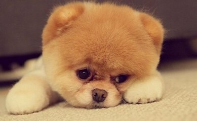 苏格拉底名言认识你自己原文,认识自己的缺点的名言