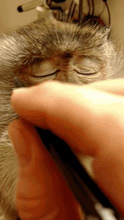 如何化妆能让圆脸变小？再也不用美图修脸了！｜技巧