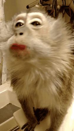 如何化妆能让圆脸变小？再也不用美图修脸了！｜技巧