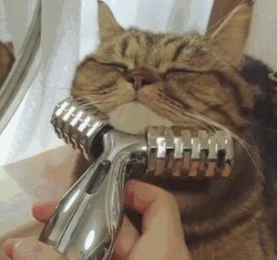 如何化妆能让圆脸变小？再也不用美图修脸了！｜技巧