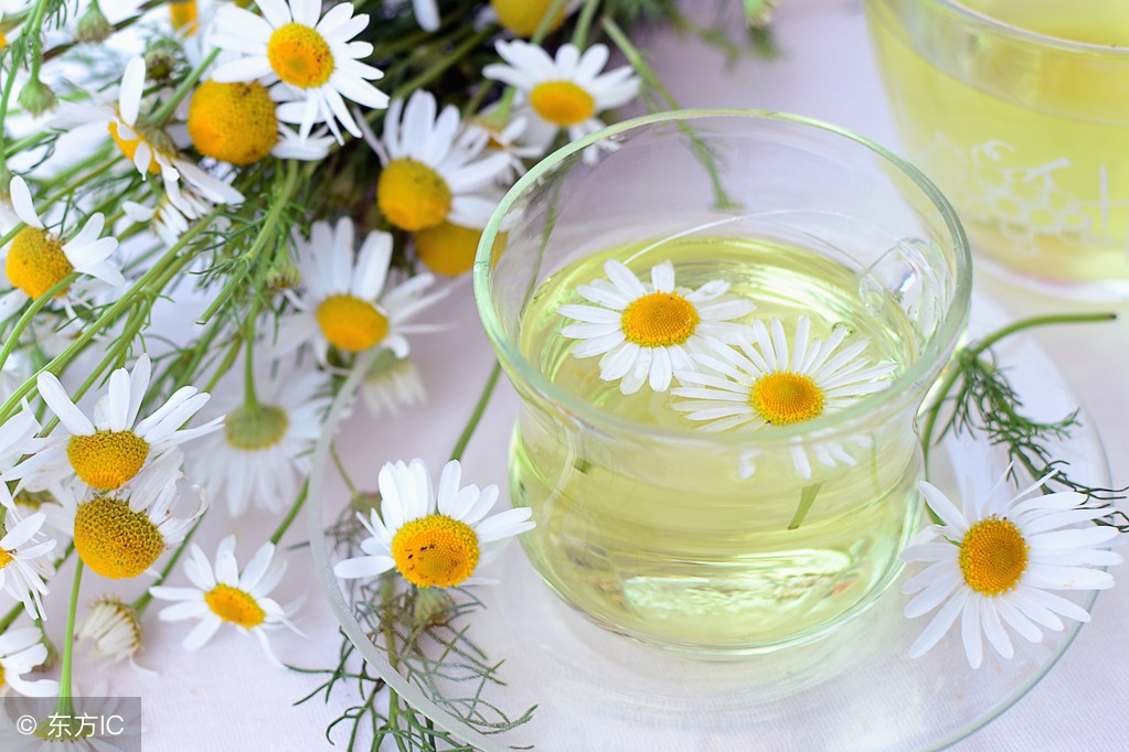 龟苓膏粉加菊花茶,龟苓膏可以和菊花枸杞茶一起喝吗