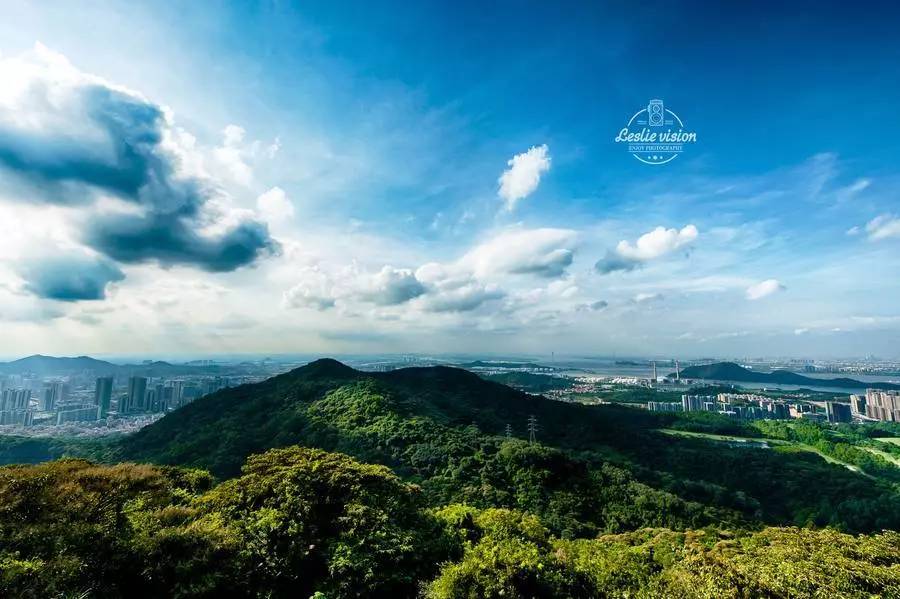 广州值得去的湿地公园,广州湿地公园拍摄