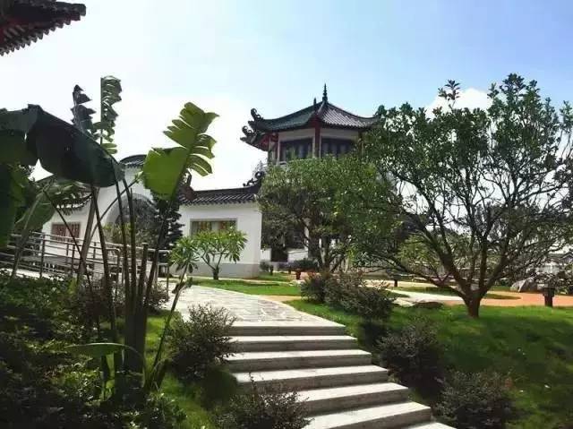 广州值得去的湿地公园,广州湿地公园拍摄