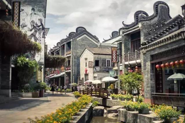 广州值得去的湿地公园,广州湿地公园拍摄