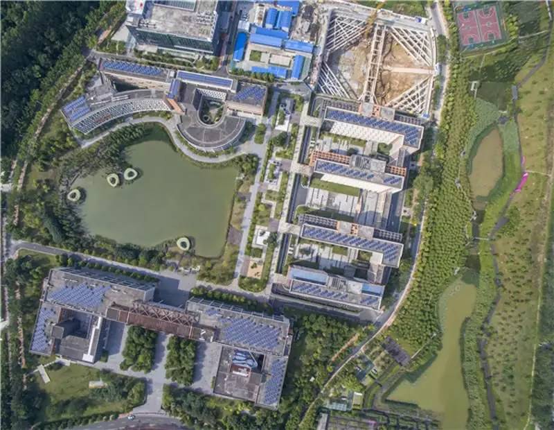 广州值得去的湿地公园,广州湿地公园拍摄