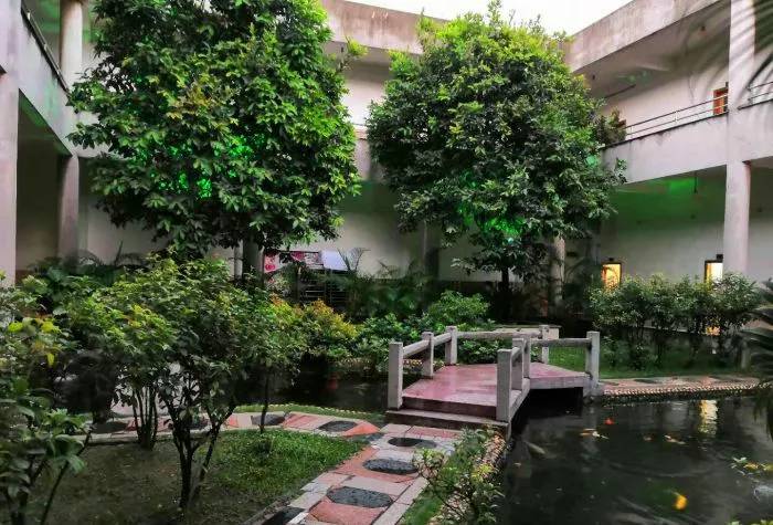 广州值得去的湿地公园,广州湿地公园拍摄