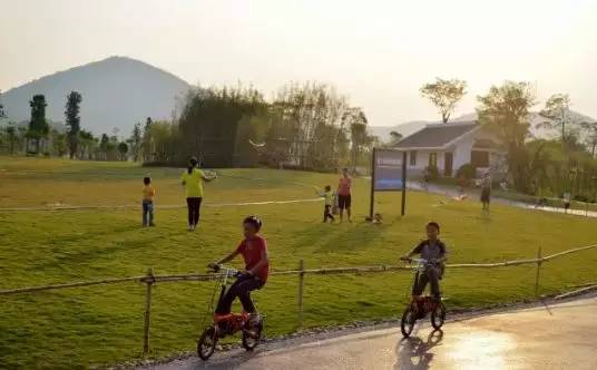 广州值得去的湿地公园,广州湿地公园拍摄