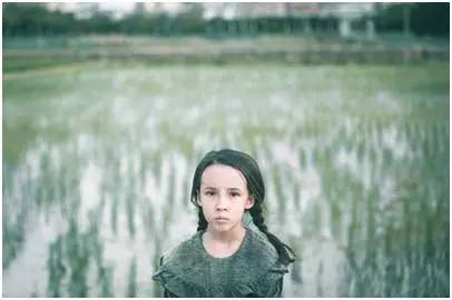 广州值得去的湿地公园,广州湿地公园拍摄