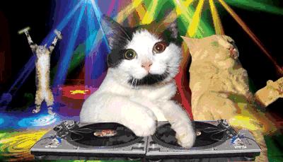 bh干皮粉底液女遮瑕控油保湿持久,适合干皮且遮瑕的粉底液推荐