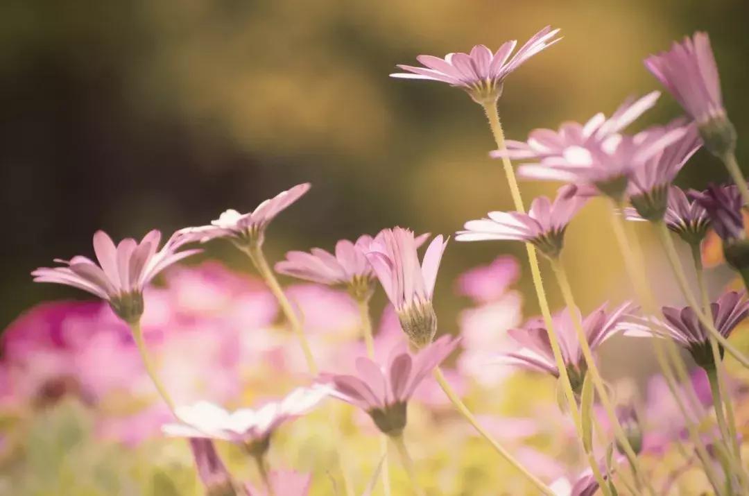 北大新校长给学生讲的十句话,北大校长最新讲话
