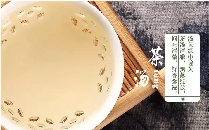 毛主席命名的都匀毛尖，到底有多好喝？