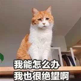 行车记录仪可以举报危险行驶吗,一键举报行车记录仪