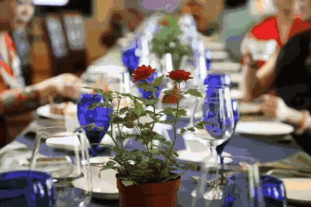 七夕指南光遇,七夕攻略请一定收好