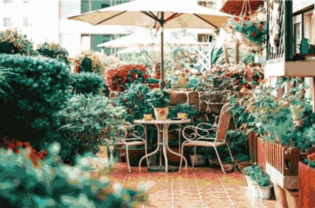 七夕指南光遇,七夕攻略请一定收好