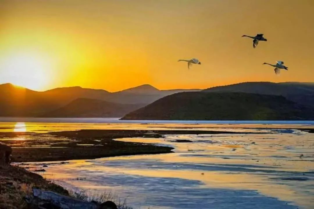 乌兰察布属于什么类型的城市,乌兰察布是什么地貌