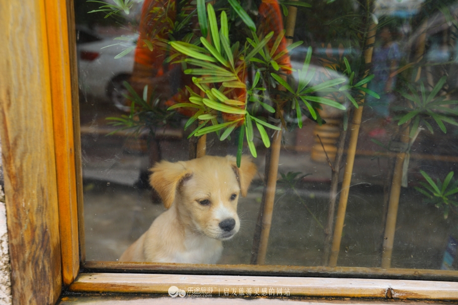 东莞周边周末自驾休闲,东莞周末附近游玩的地方