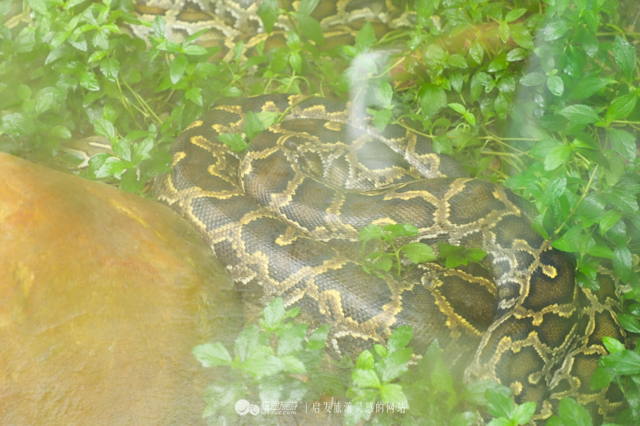 东莞周边周末自驾休闲,东莞周末附近游玩的地方