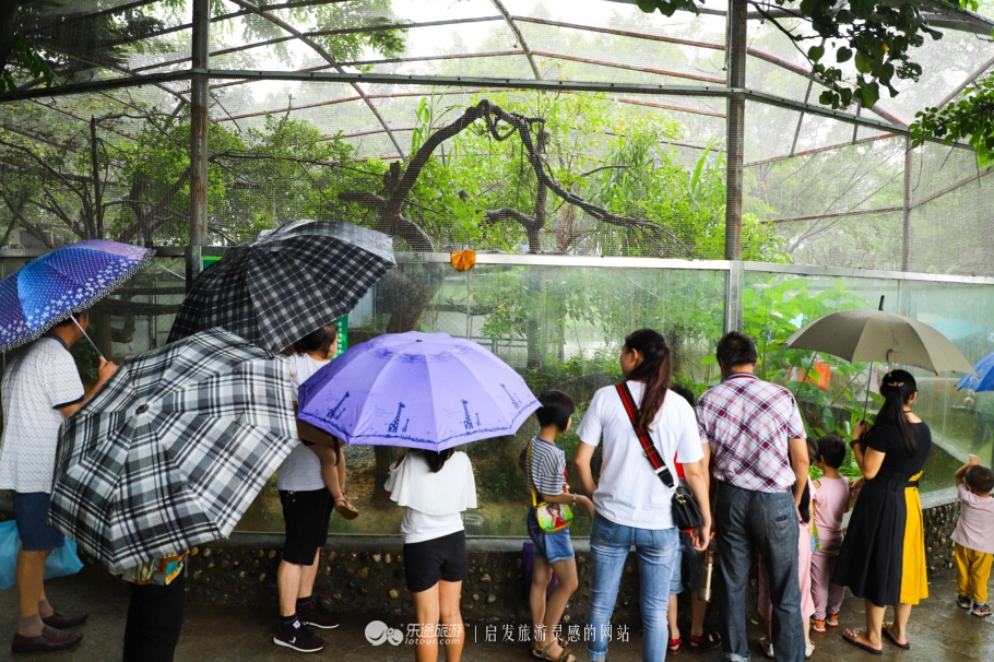 东莞周边周末自驾休闲,东莞周末附近游玩的地方