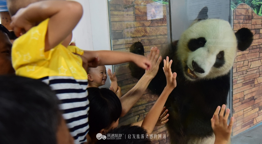 东莞周边周末自驾休闲,东莞周末附近游玩的地方