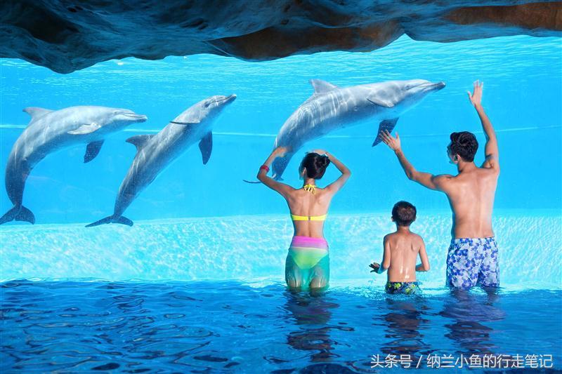 珠海长隆海洋王国带你体验,体验珠海长隆海洋王国