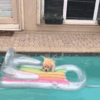 搞笑gif趣图哥们大街上别老秀恩爱,恩爱图片情侣拥抱gif