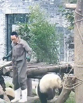 搞笑gif趣图哥们大街上别老秀恩爱,恩爱图片情侣拥抱gif