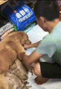 搞笑gif趣图哥们大街上别老秀恩爱,恩爱图片情侣拥抱gif