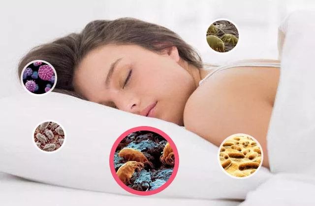 电吹风导致头发干枯、分叉!有了这个微米级日本干发帽,不伤发不掉毛,3分钟头发就干了