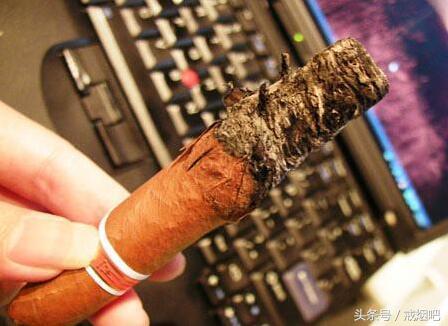 雪茄有什么装饰品,雪茄和香烟特别像