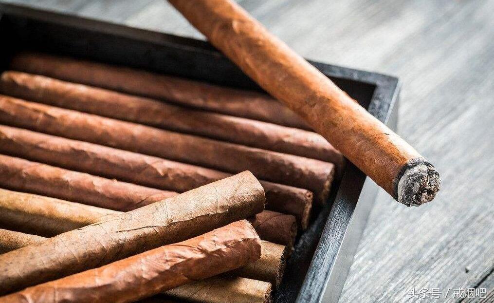 雪茄有什么装饰品,雪茄和香烟特别像