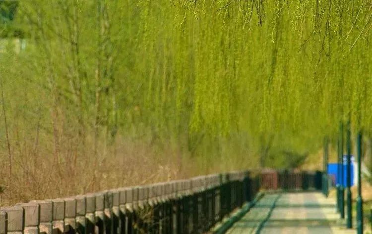 白银市是怎么样的城市,白银这个城市有什么历史吗