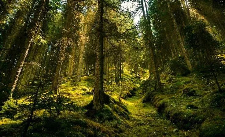 白银市是怎么样的城市,白银这个城市有什么历史吗