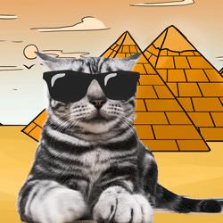 如何让猫咪知道铲屎官生气了,猫咪生气该怎么办