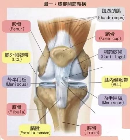 康复治疗膝盖半月板,膝骨关节炎康复运动