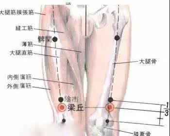 康复治疗膝盖半月板,膝骨关节炎康复运动