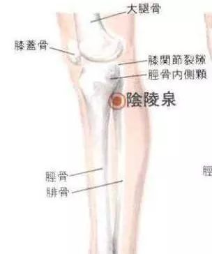 康复治疗膝盖半月板,膝骨关节炎康复运动