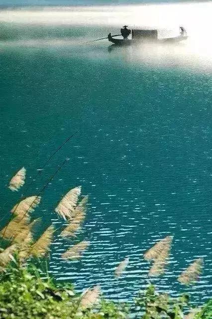 浅秋微凉诗句,浅秋的夜晚有一层薄薄的微凉