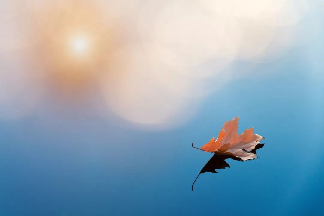 弘扬家国情怀礼赞新时代的诗词,十首表达家国情怀的诗词