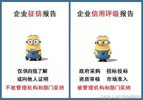 企业信用评级在哪里看,企业征信信用评级报告