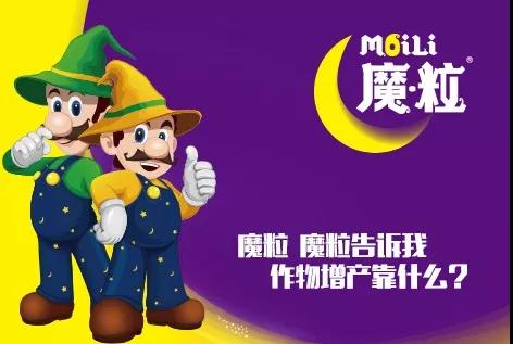 品牌广告语100句大全,好的广告语一定要包含品牌名字