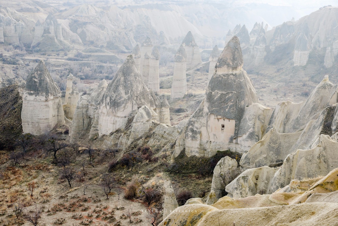 土耳其里拉暴跌各方面的影响,土耳其里拉为什么降价了