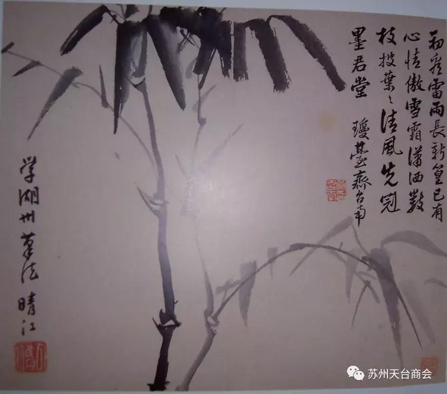 齐召南天台十景,天台古人