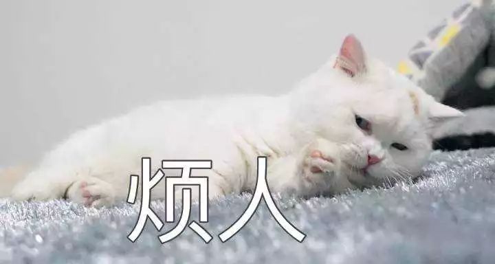 淘宝客服面对的疑难杂症 (淘宝客服一直不会说话)