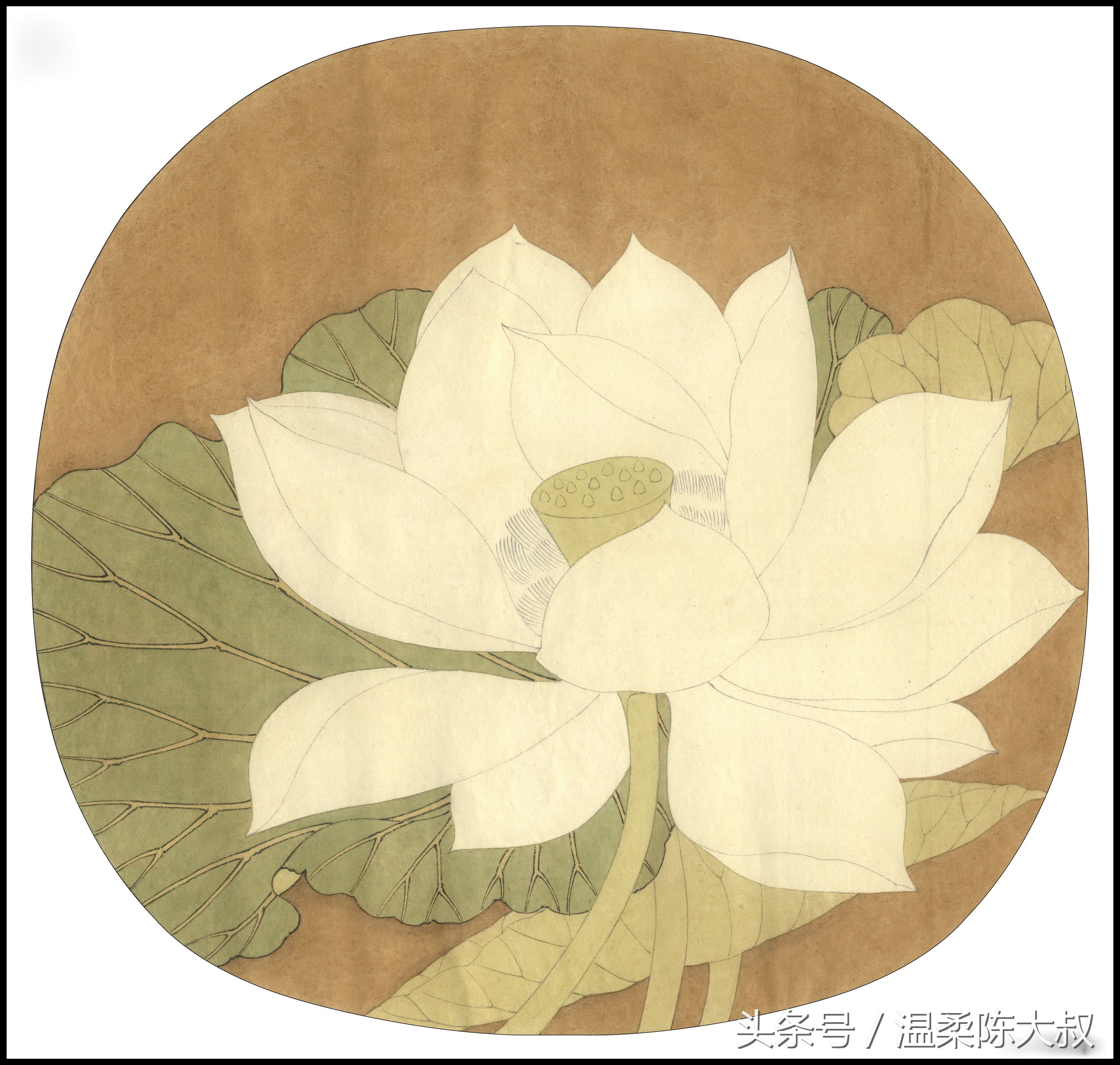 宋画出水芙蓉工笔画作画步骤,出水芙蓉图片大全大图工笔花鸟画