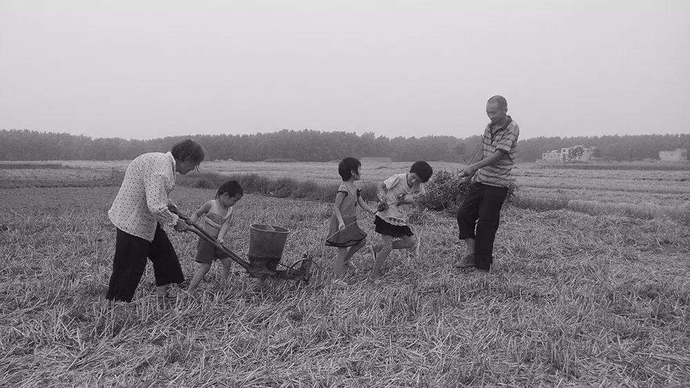 手机摄影大赛十佳作品,第九届世界手机摄影大赛获奖名单