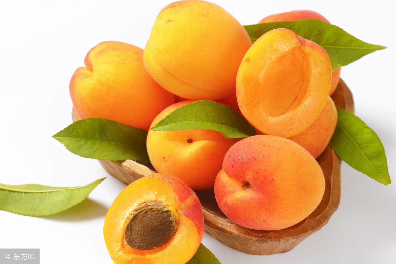 除心火的食物,除湿热的食物水果蔬菜