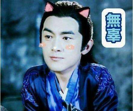 郑嘉颖步步惊心见面会,郑嘉颖谈步步惊心