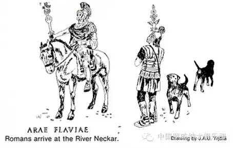 罗威纳FCI性格标准,纯种罗威纳犬的智商排名