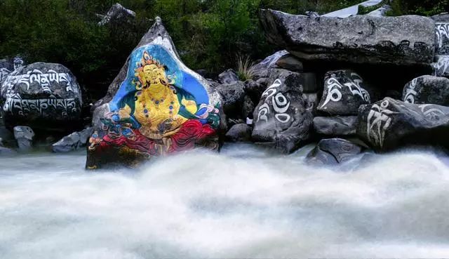 单反相机和手机摄影有什么区别,摄影初学者适合买什么单反相机